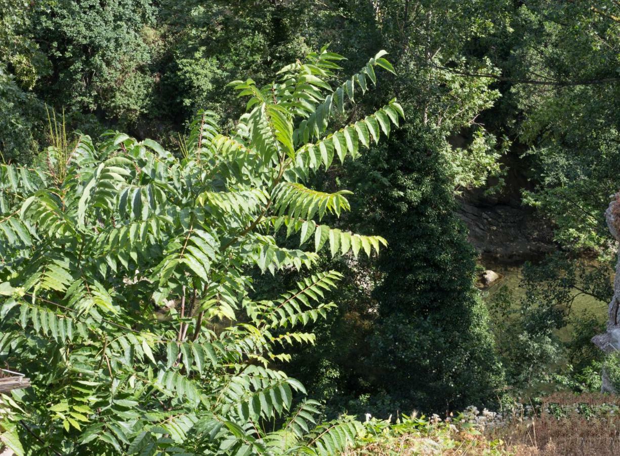 Mini Appartamento "Il Nido Del Picchio" Асколі-Пічено Екстер'єр фото